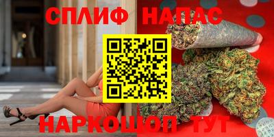 Альфа ПВП Владикавказ