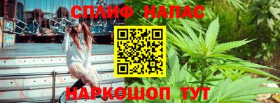 Альфа ПВП Владикавказ