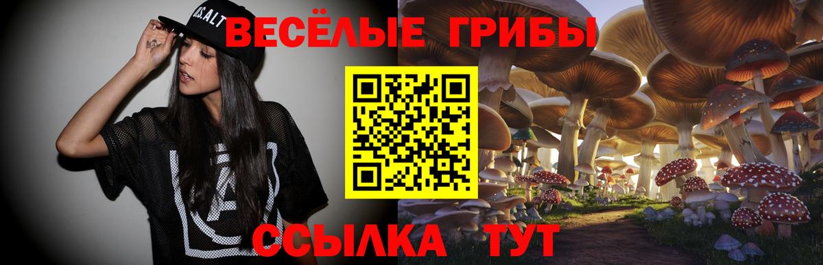 Галлюциногенные грибы GOLDEN TEACHER  Псилоцибиновые грибы мицелий  Нальчик  Вход с VPN 